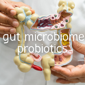 Irritable bowel syndrome, the microbiome and probiotics
